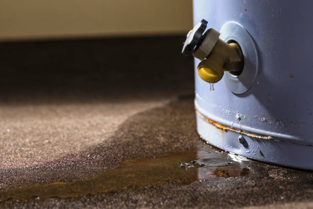 Best Flood damage cleanup  in Franklin, NH
