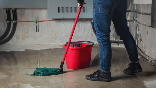 Best Local water damage restoration  in Franklin, NH