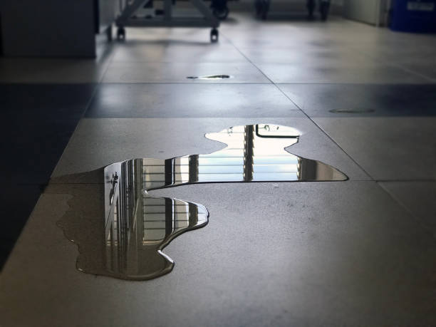 Best 24/7 water damage repair  in Franklin, NH