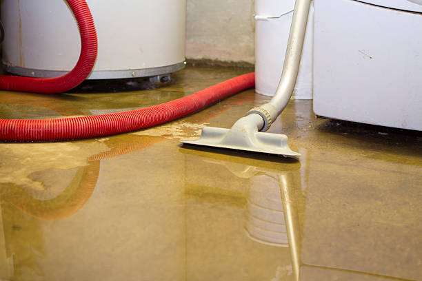 Best Fire Damage Restoration  in Franklin, NH