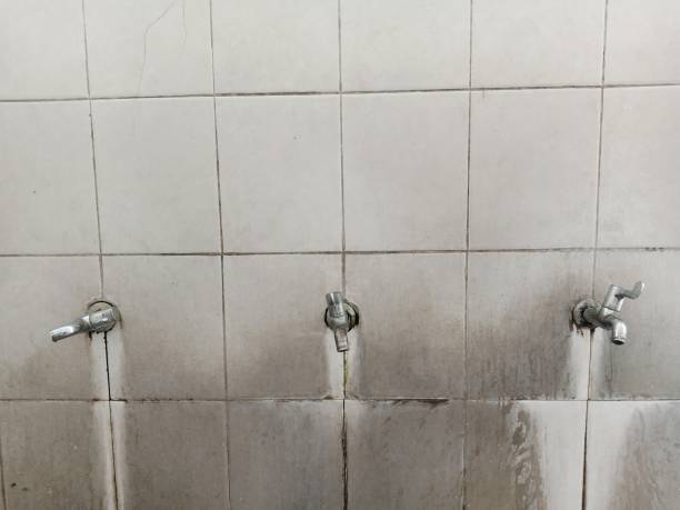 Best Water damage contractors near me  in Franklin, NH