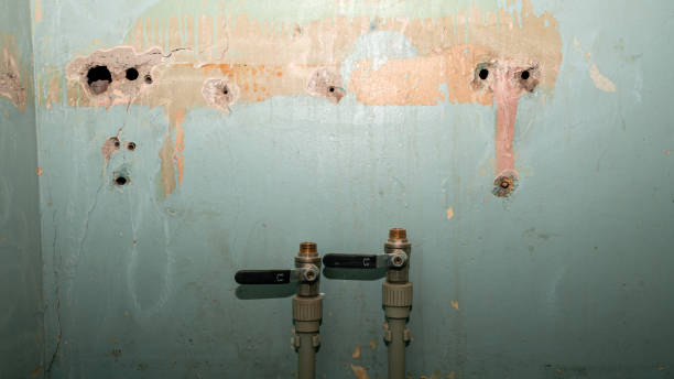 Best Residential water damage restoration  in Franklin, NH