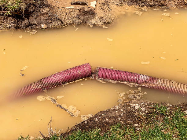 Best Water damage cleanup near me  in Franklin, NH