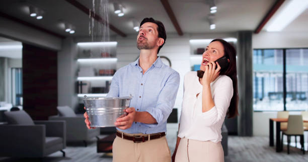 Best Water damage restoration company  in Franklin, NH