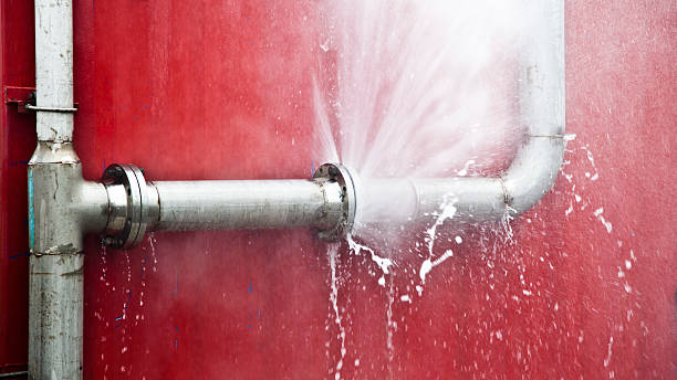 Best Professional water damage repair  in Franklin, NH