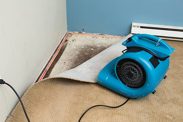 Best Commercial water damage restoration  in Franklin, NH